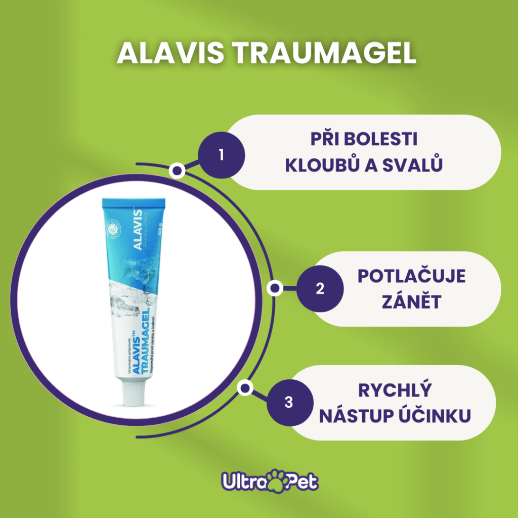 Ukázka 28